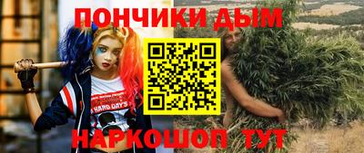 гидропоника Камышлов