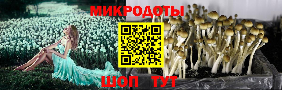 Галлюциногенные грибы MAGIC MUSHROOMS  Галлюциногенные грибы GOLDEN TEACHER  Кызыл  Вход с VPN 
